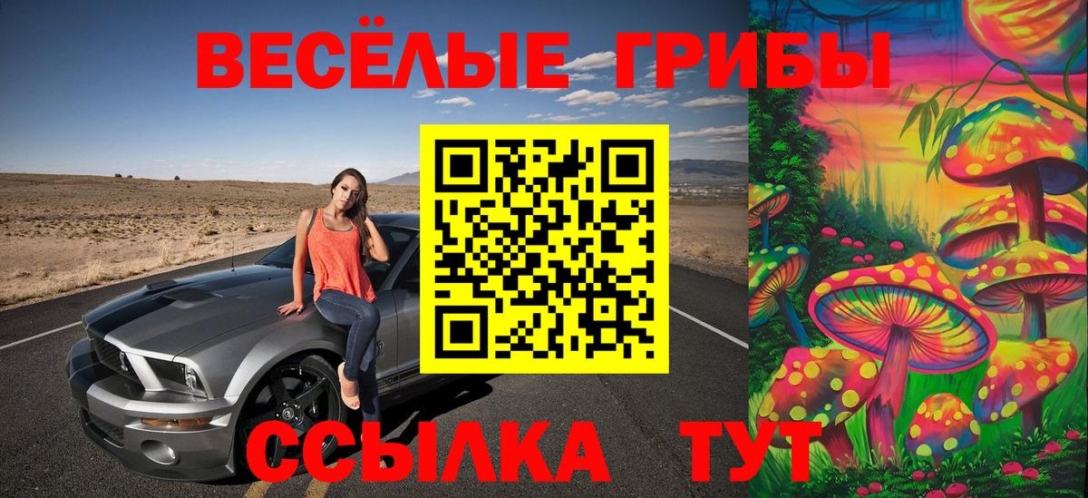 Галлюциногенные грибы ЛСД  Псилоцибиновые грибы Psilocybe  Химки  Вход с VPN 